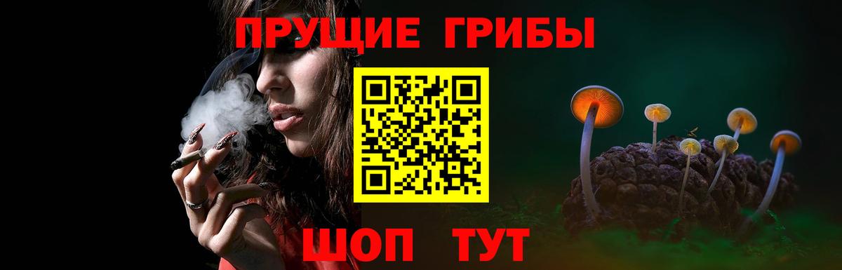 Елизово  Псилоцибиновые грибы GOLDEN TEACHER  Вход с VPN 